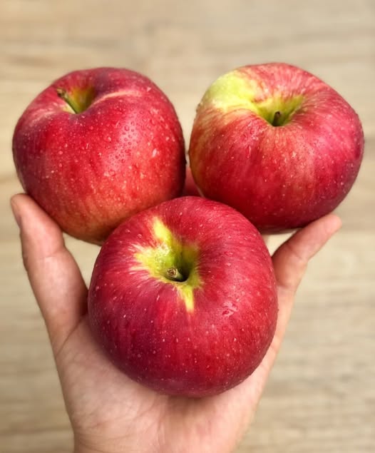 Why Apples Remain One of the Most Recommended Fruits for Everyday Wellness