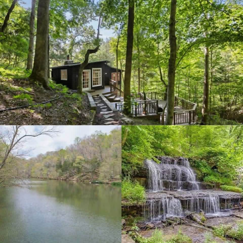 Cozy Fairview Cabin Offers Peaceful Nature Views and Convenient Lake Access