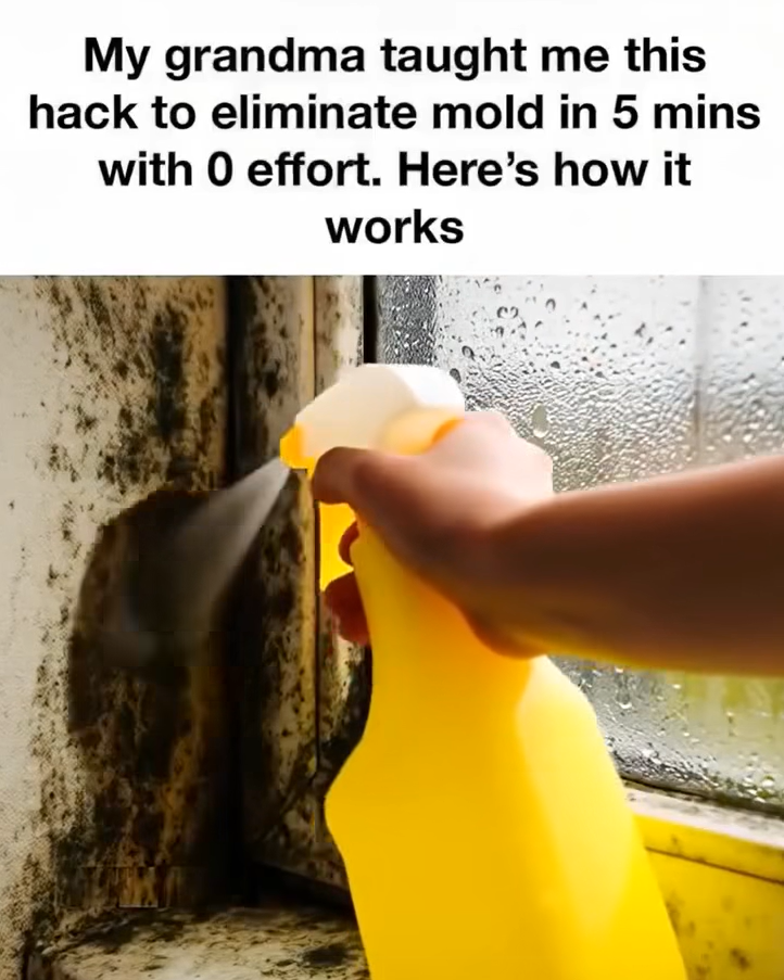 How to Clean Household Mold Safely Using Hydrogen Peroxide