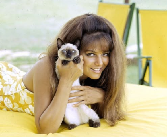 A ’60s Screen Legend: How She Looks Today at 86
