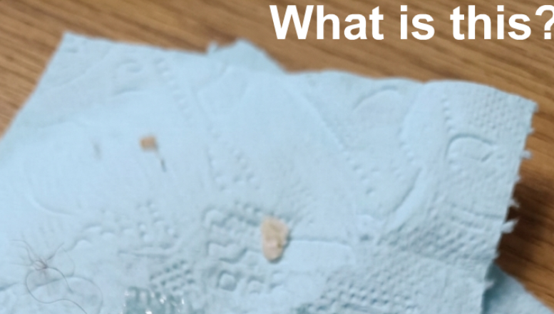Mother Makes Unexpected Discovery While Checking Her Son’s Room