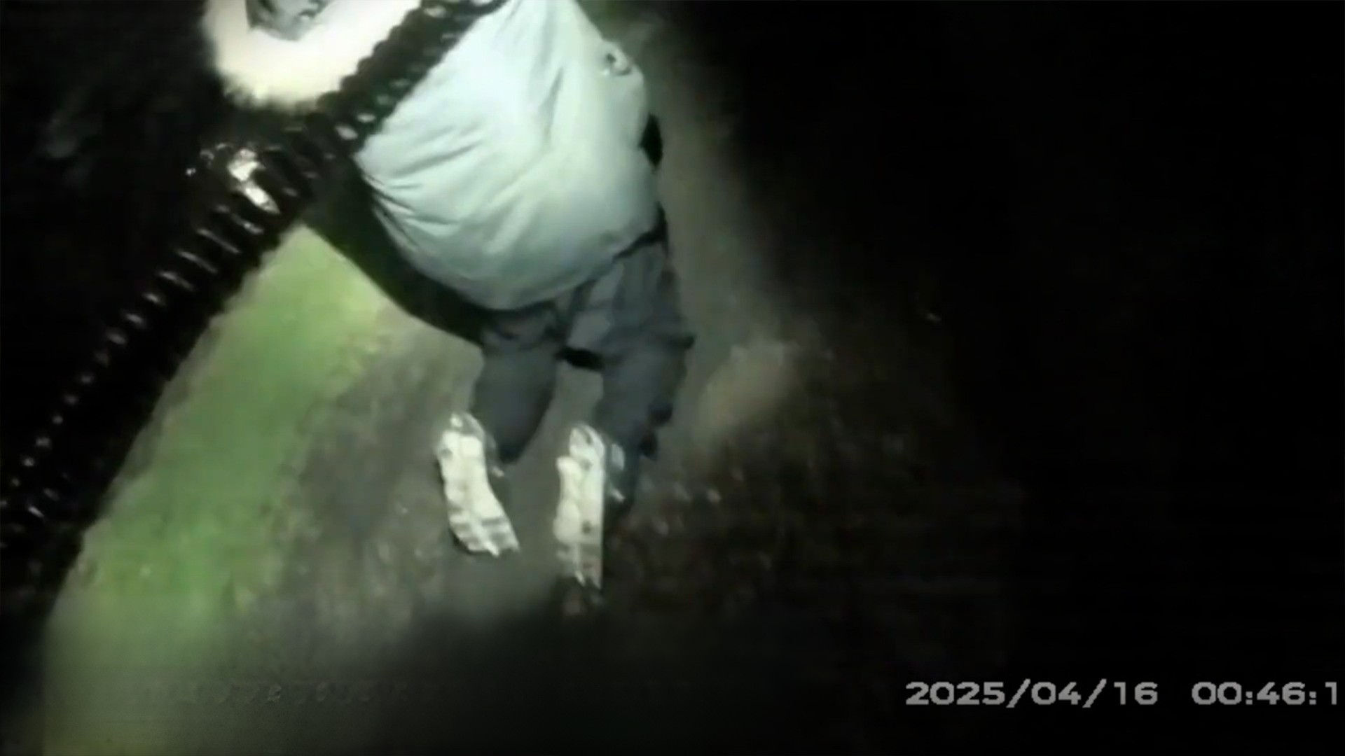 Late-Night Transportation Incident Prompts Legal Proceedings and Public Safety Conversations