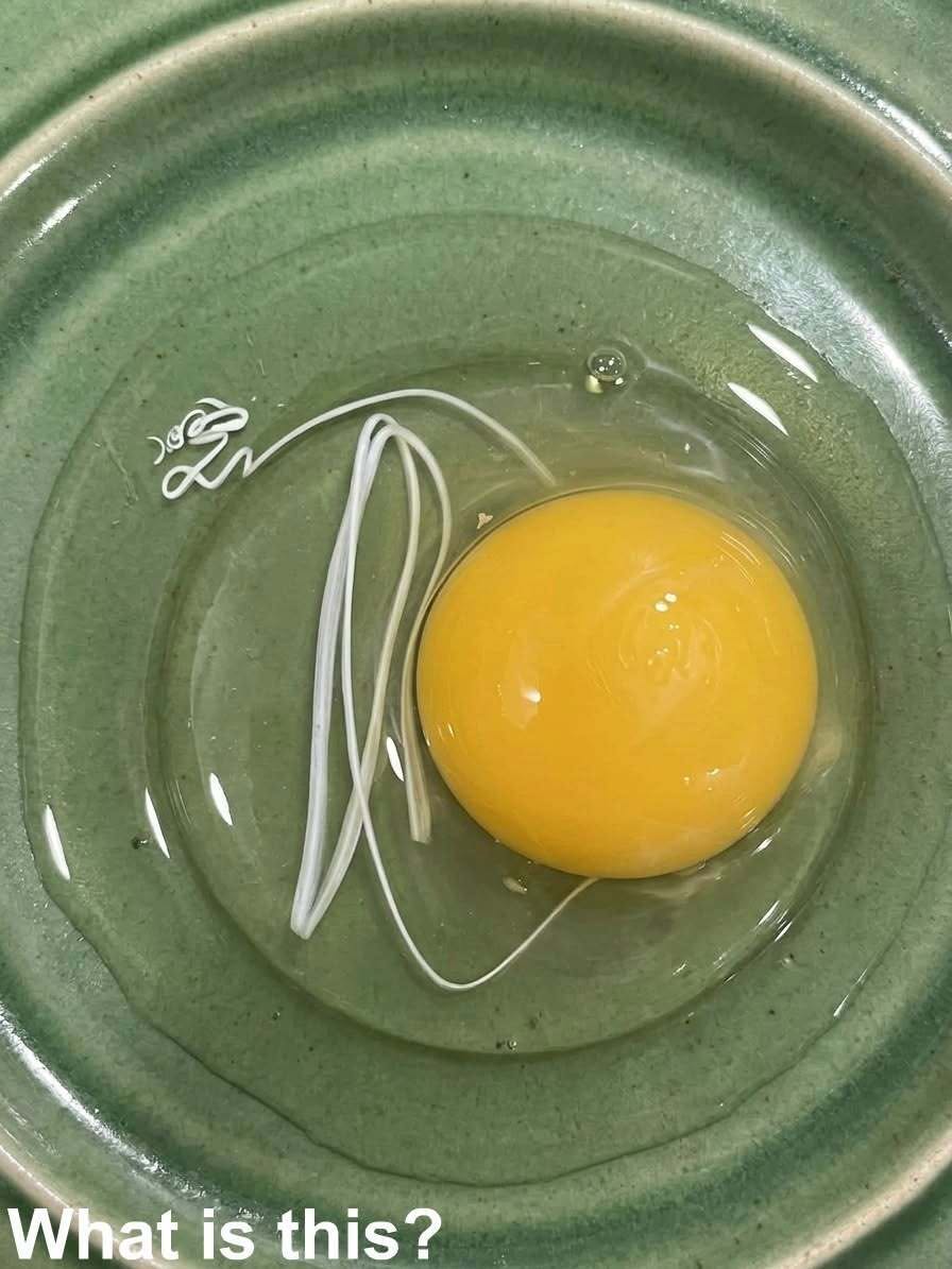 This morning, I woke up and decided to make fried eggs.