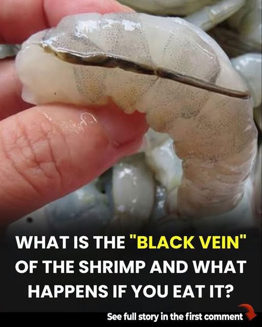 Should You Remove the Black Line From Shrimp? Here’s What You Need to Know