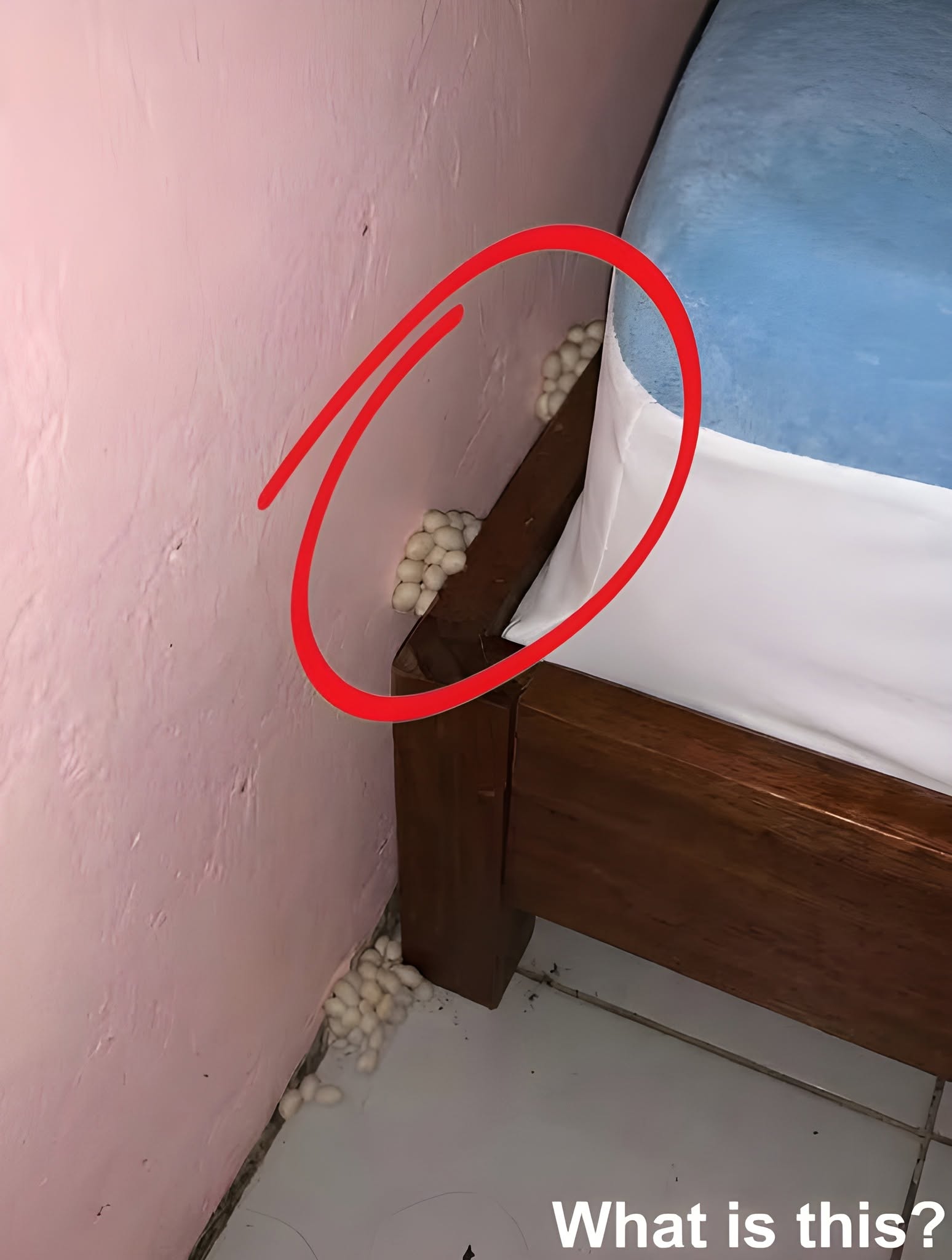 I Returned Home After a Long Day and Noticed Something Unusual