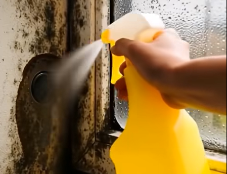How to Address Household Mold Safely Using Hydrogen Peroxide