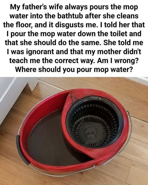 Where to Dispose of Dirty Mop Water: Toilet or Bathtub?
