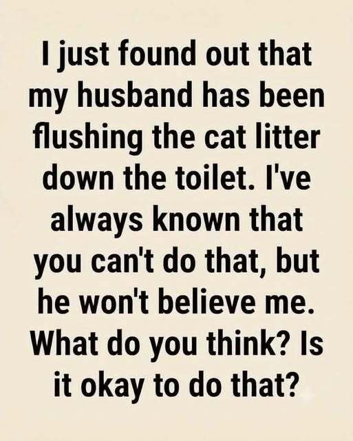 6 Things To Avoid Flushing Down The Toilet (And How to Keep Your Plumbing Happy)