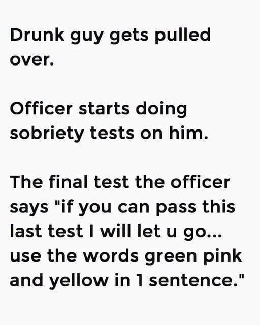 Traffic Stop Takes an Unexpected Turn After Final Roadside Test