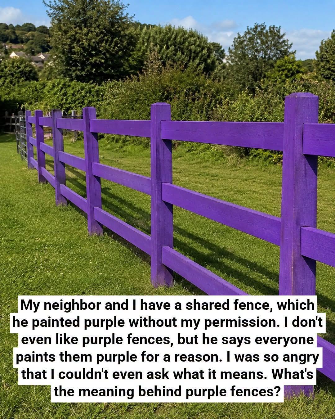 What a Painted Purple Fence Can Mean for Property Owners and Visitors