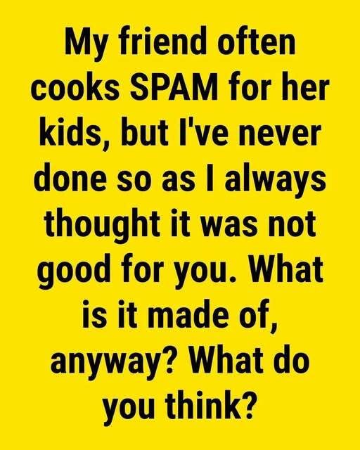 What is spam and what is it made of?