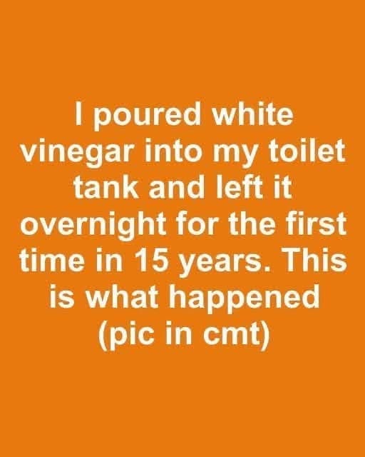 I Added White Vinegar to My Toilet Tank Overnight After 15 Years — The Result Surprised Me