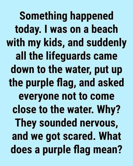 The Meaning Behind Purple Beach Flags and Why They Matter for Your Safety