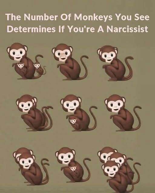 The Number Of Monkeys You See Determines If You’re A Narcissist