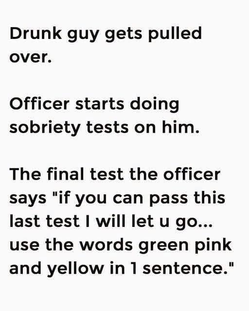 The Hilarious DUI Traffic Stop Joke That Backfired Instantly and Ended in Handcuffs