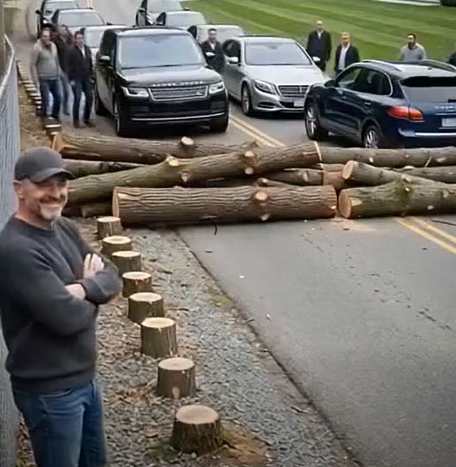 They Removed My Trees for a Better View — What Happened Next Changed More Than I Expected