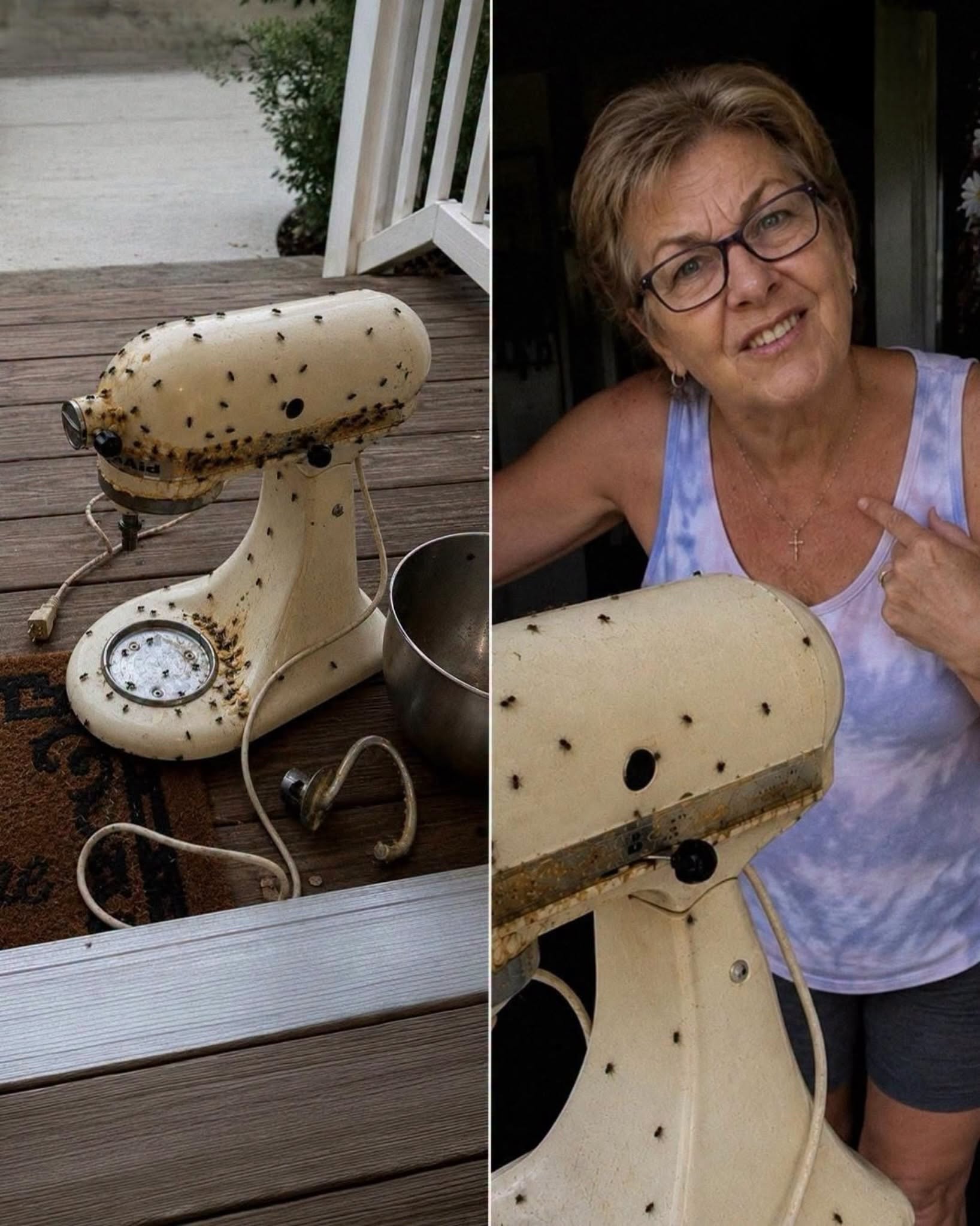 My Neighbor Kept Borrowing My Appliances—Then One Returned in Unexpected Condition
