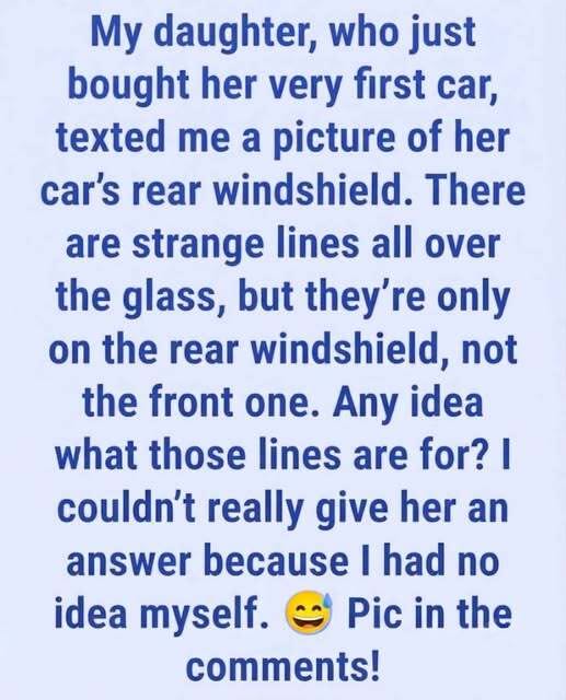Ever Wondered What Those Lines On Your Rear Windshield Actually Do?