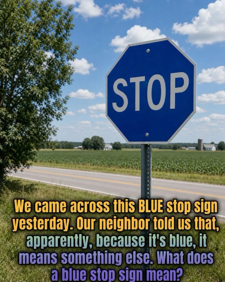 Why Some Stop Signs Are Blue and What They Mean for Drivers