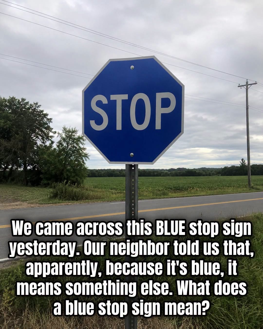 What Does a Blue Stop Sign Mean? Here’s What You Should Know
