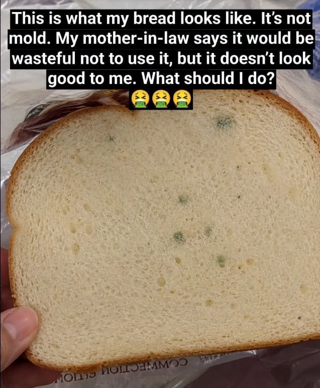 Hard or Moldy? What to Know Before Eating Stale Bread