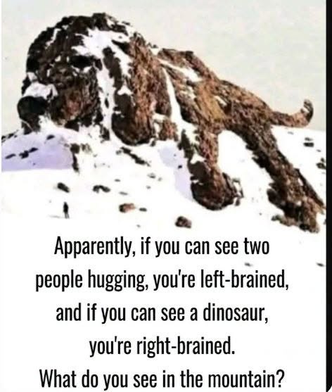 The ultimate visual brain-scan test: left-brained, right-brained ?