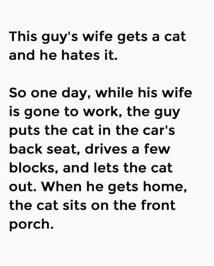 Man Tries To Abandon His Wife’s Cat.