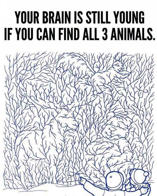 Can You Spot the 3 Hidden Animals in This Tricky Visual Brain Teaser?