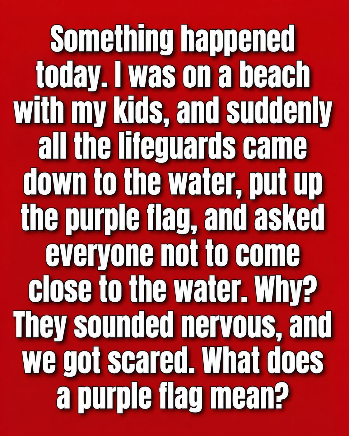 The Meaning of a Purple Flag at the Beach