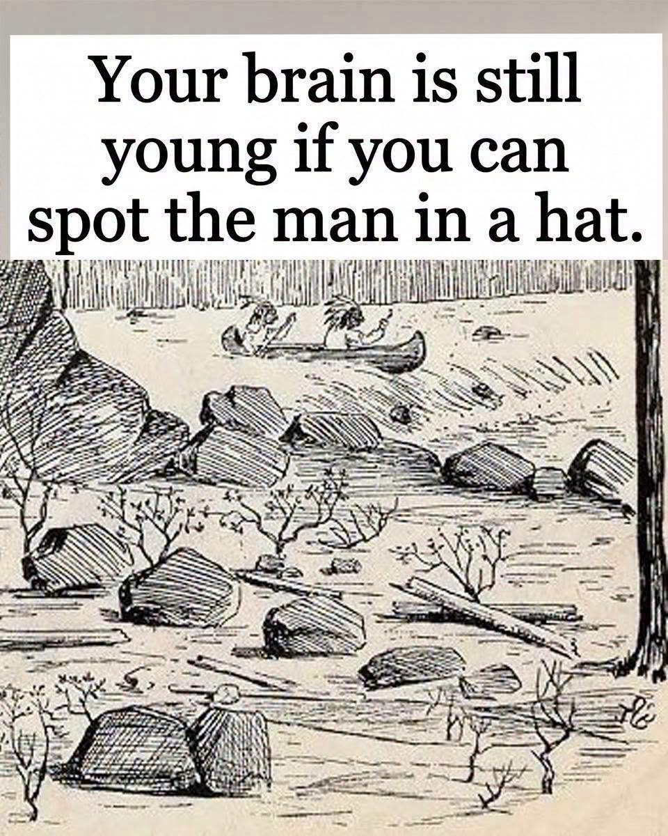 Can You Spot the Hidden Man Wearing a Hat in This Vintage Optical Illusion?