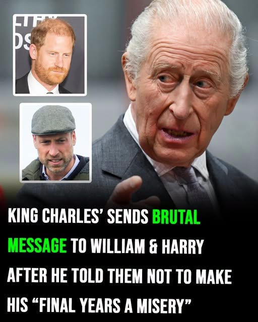 King Charles Reportedly Hopes Prince William and Prince Harry Can Rebuild Their Relationship