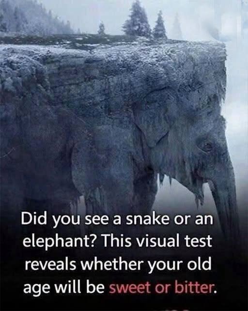 Snake or Elephant? What This Optical Illusion Reveals About Different Ways of Seeing