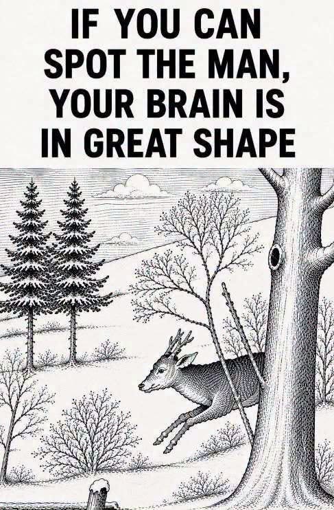 Can You Find the Hidden Man’s Face in This Winter Scene?