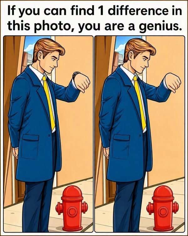 Spot the Difference: Can You Find the Hidden Change in These Two Pictures?