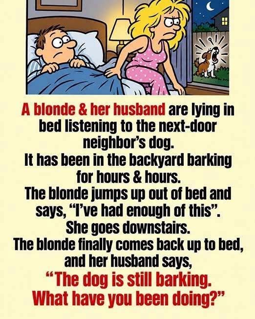 Woman Finds an Unexpected Solution to a Neighbor’s Barking Dog, Leaving Her Husband Confused