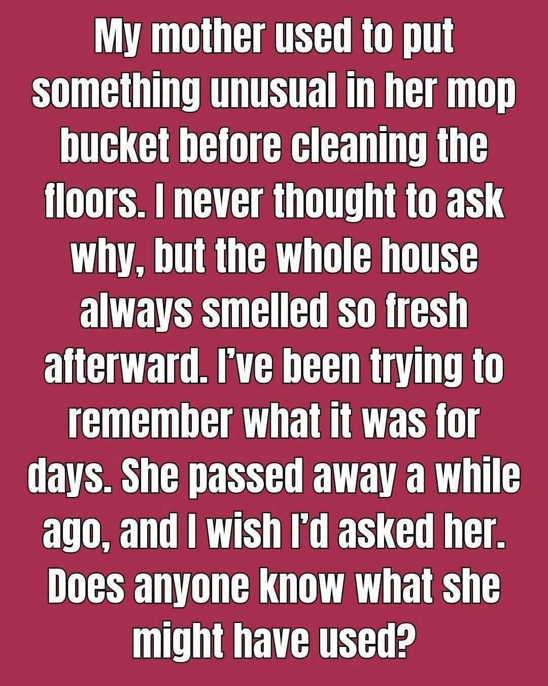 My Mom Had a Surprising Trick for Her Mop Bucket That Made Cleaning Easier