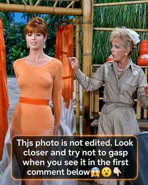 Hidden Details and Behind-the-Scenes Secrets of Gilligan’s Island