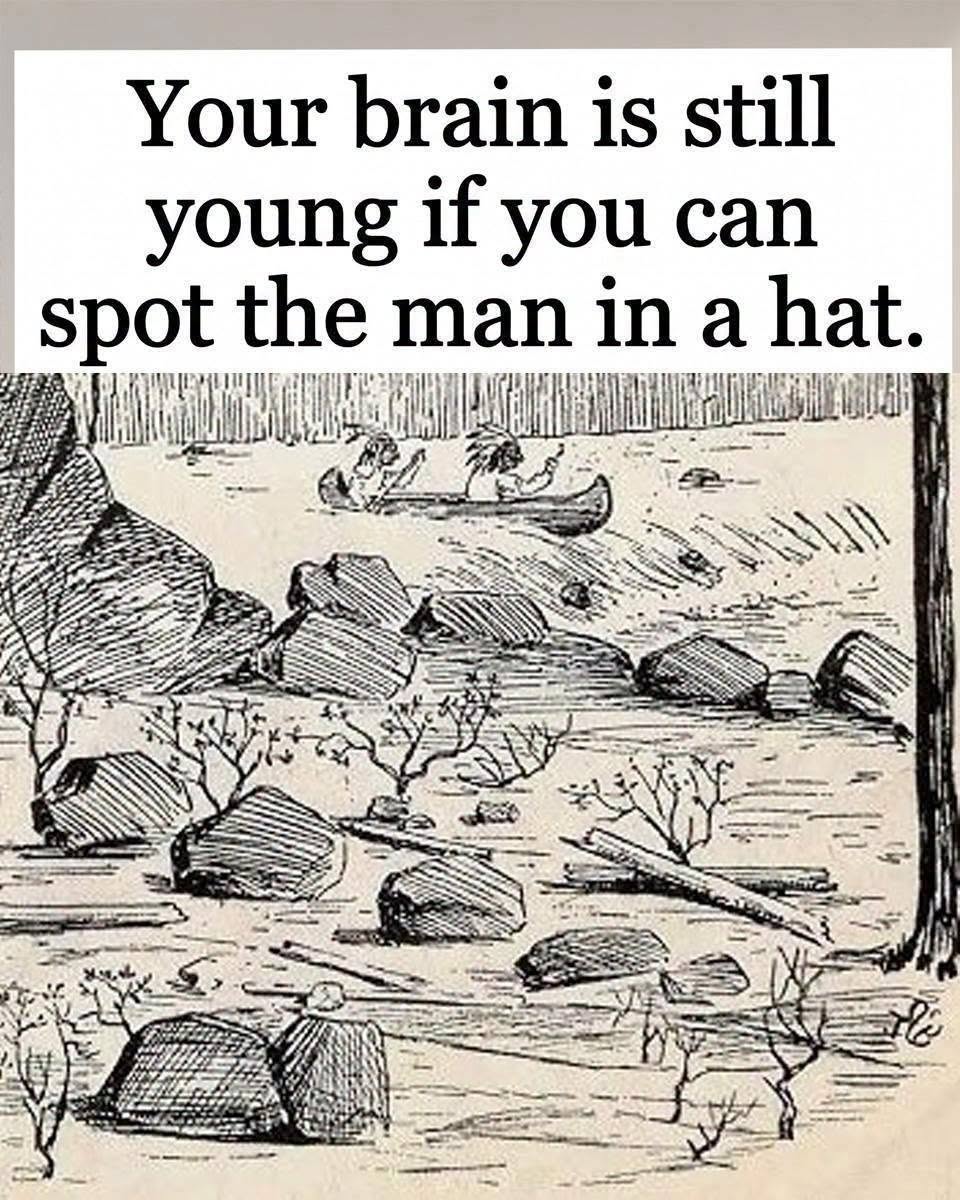 Can You Find the Hidden Man’s Face in This Peaceful Landscape?
