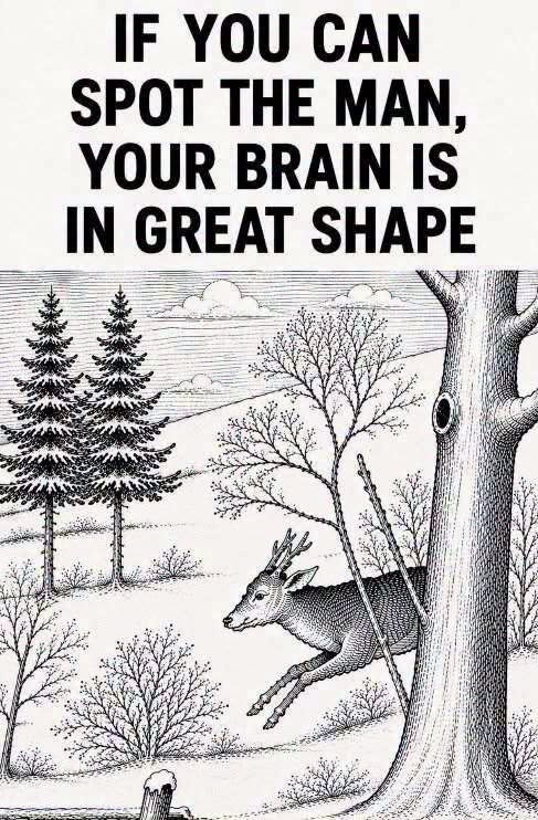 Can You Spot the Hidden Man’s Face in This Snowy Forest Scene?