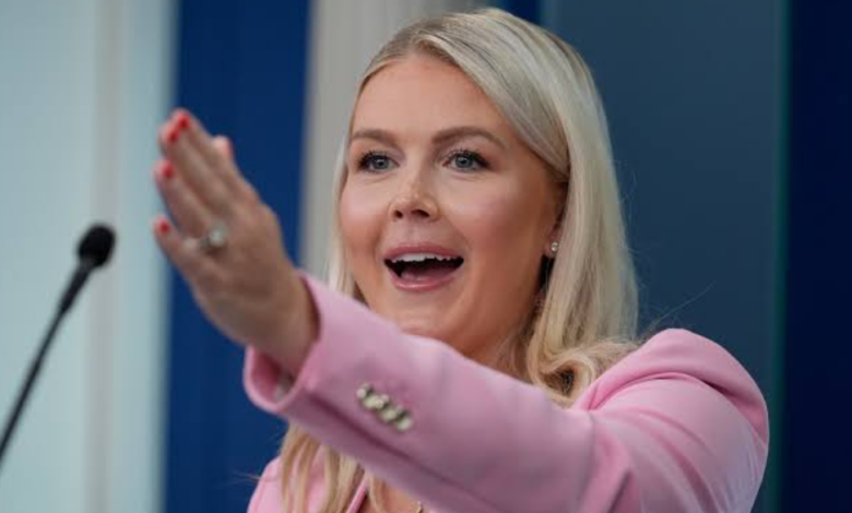Karoline Leavitt Discusses White House Press Access and Media Policies During Axios Interview